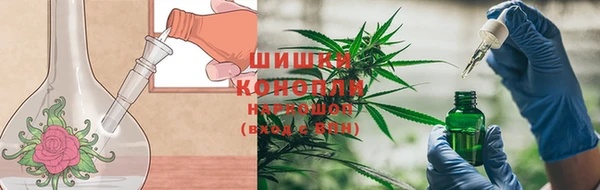 шишки Богданович
