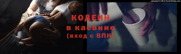шишки Богданович