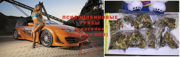 шишки Богданович